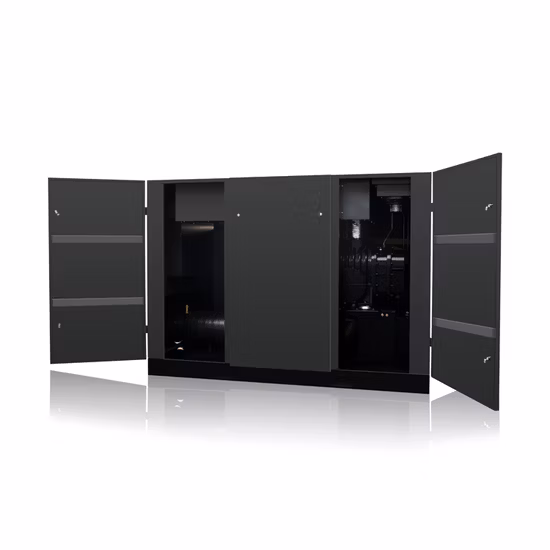 Oil Free Screw Air Blower for Wastewater Treatment